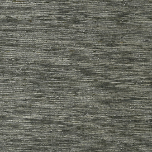 Thibaut Maranta Arrowroot Black Wallpaper