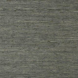 Thibaut Maranta Arrowroot Black Wallpaper