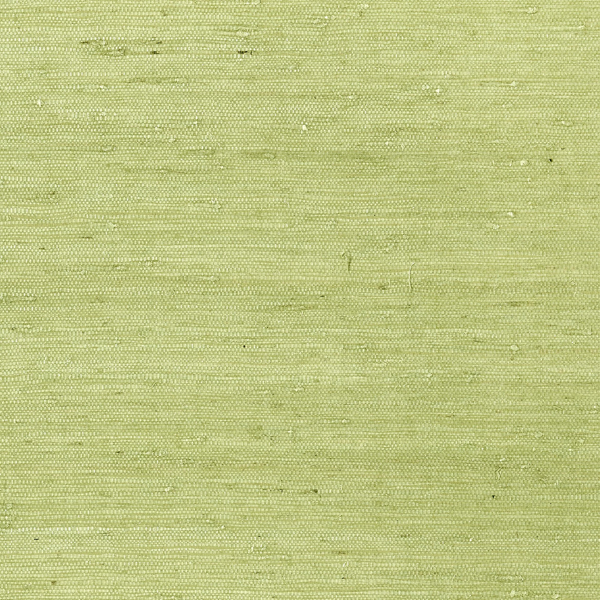 Thibaut Maranta Arrowroot Green Wallpaper