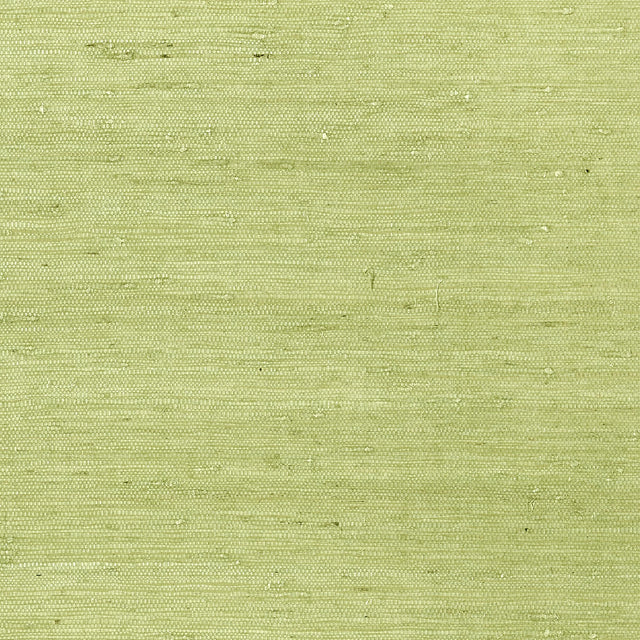Thibaut Maranta Arrowroot Green Wallpaper