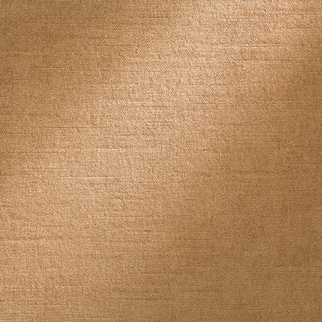 Coraggio ROYAL SILK/MOHAIR VELVET Light Raisin Fabric