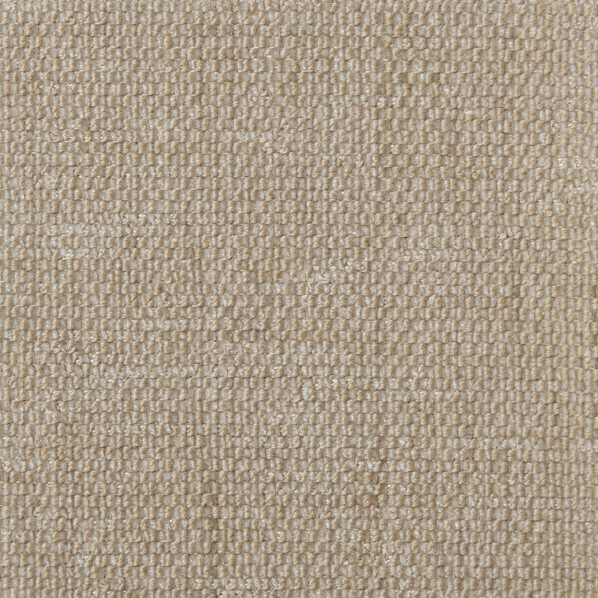Coraggio BRIO Oyster Fabric