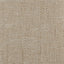 Coraggio BRIO Oyster Fabric