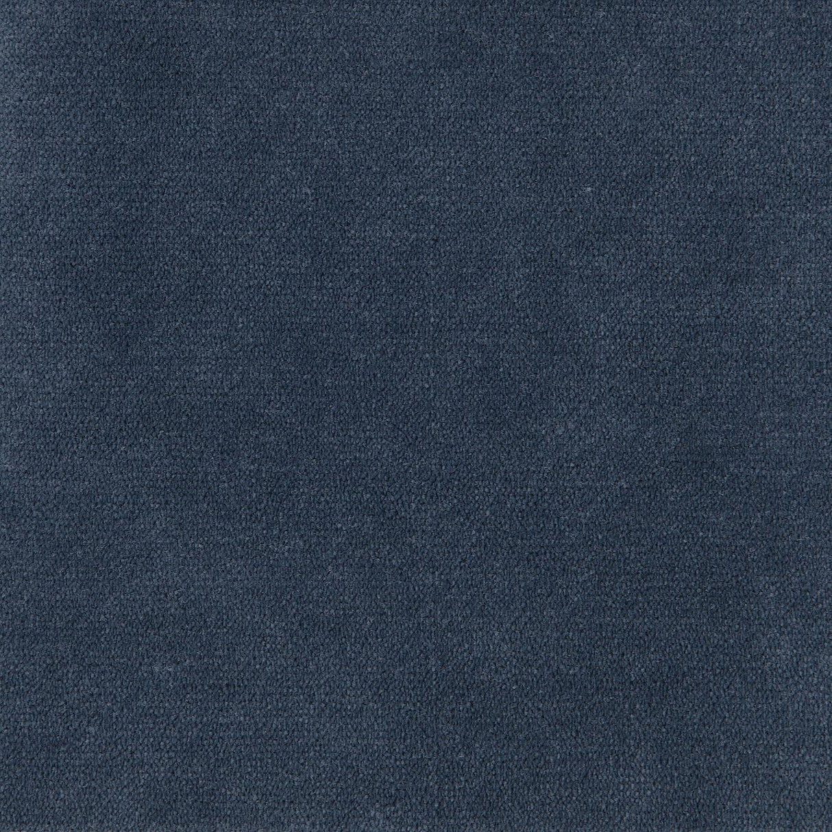 Coraggio VELLUTO Blu Marino Fabric