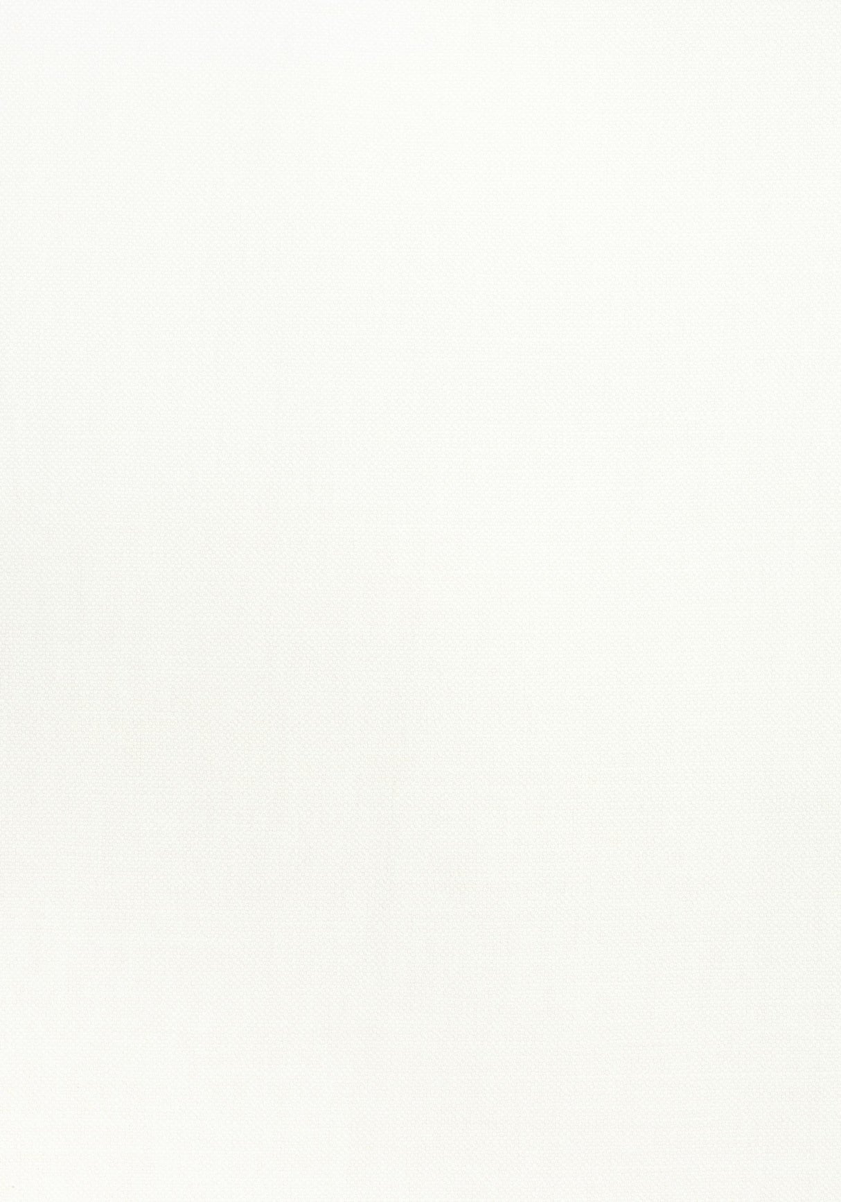 Thibaut PRISMA Snow White Fabric