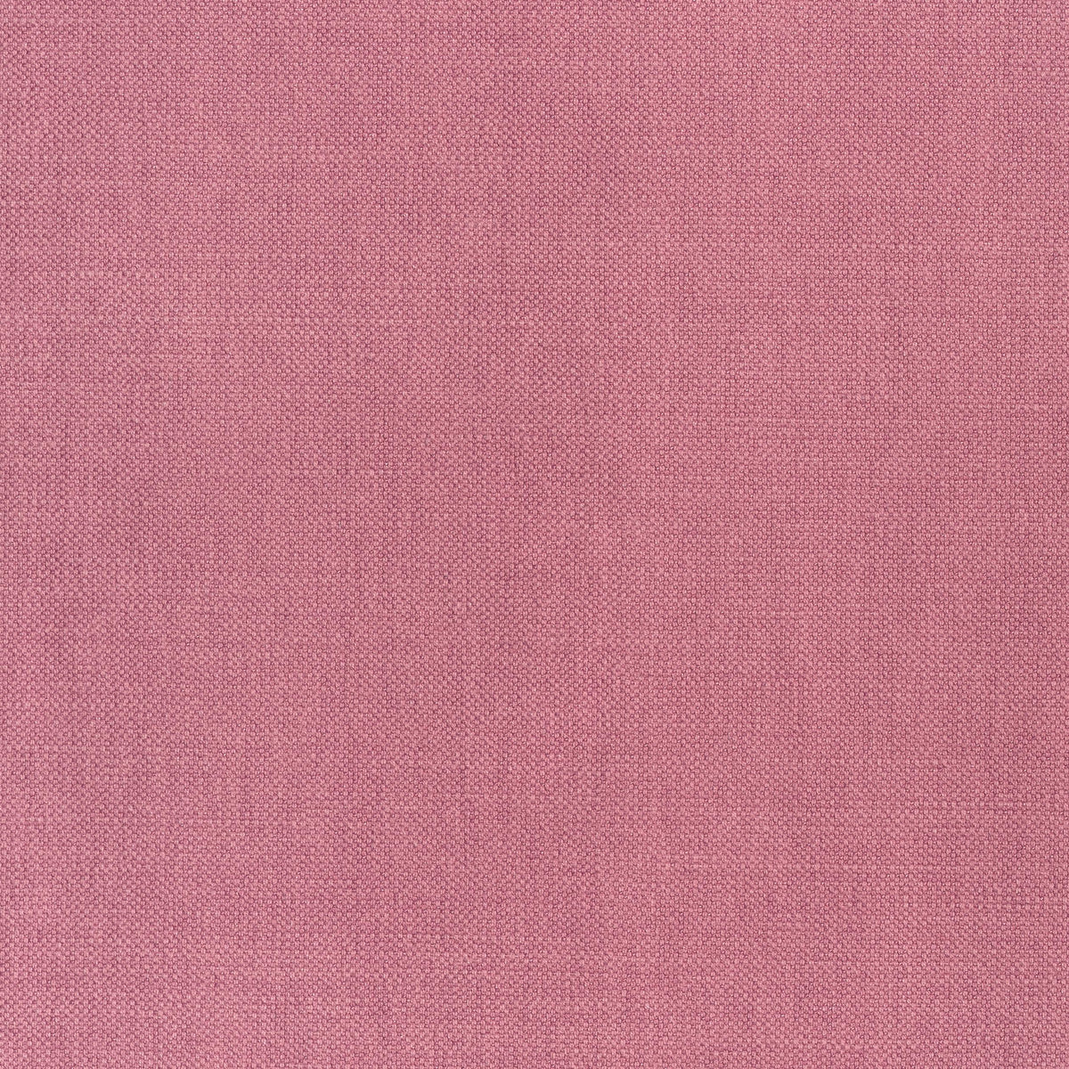 Thibaut Prisma Peony Fabric