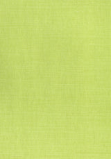 Thibaut PRISMA Spring Green Fabric