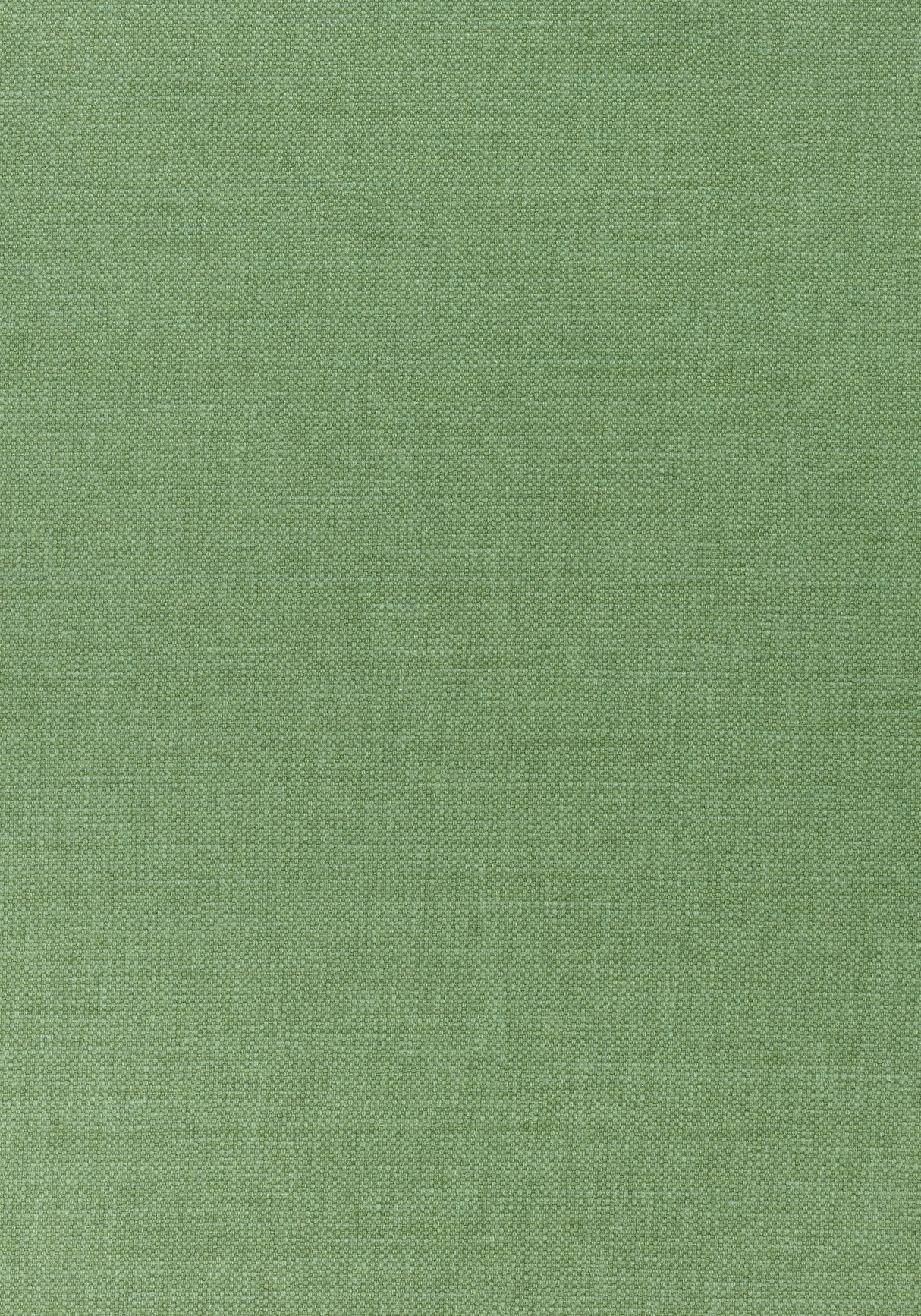 Thibaut PRISMA Fern Fabric
