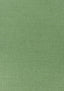Thibaut PRISMA Fern Fabric