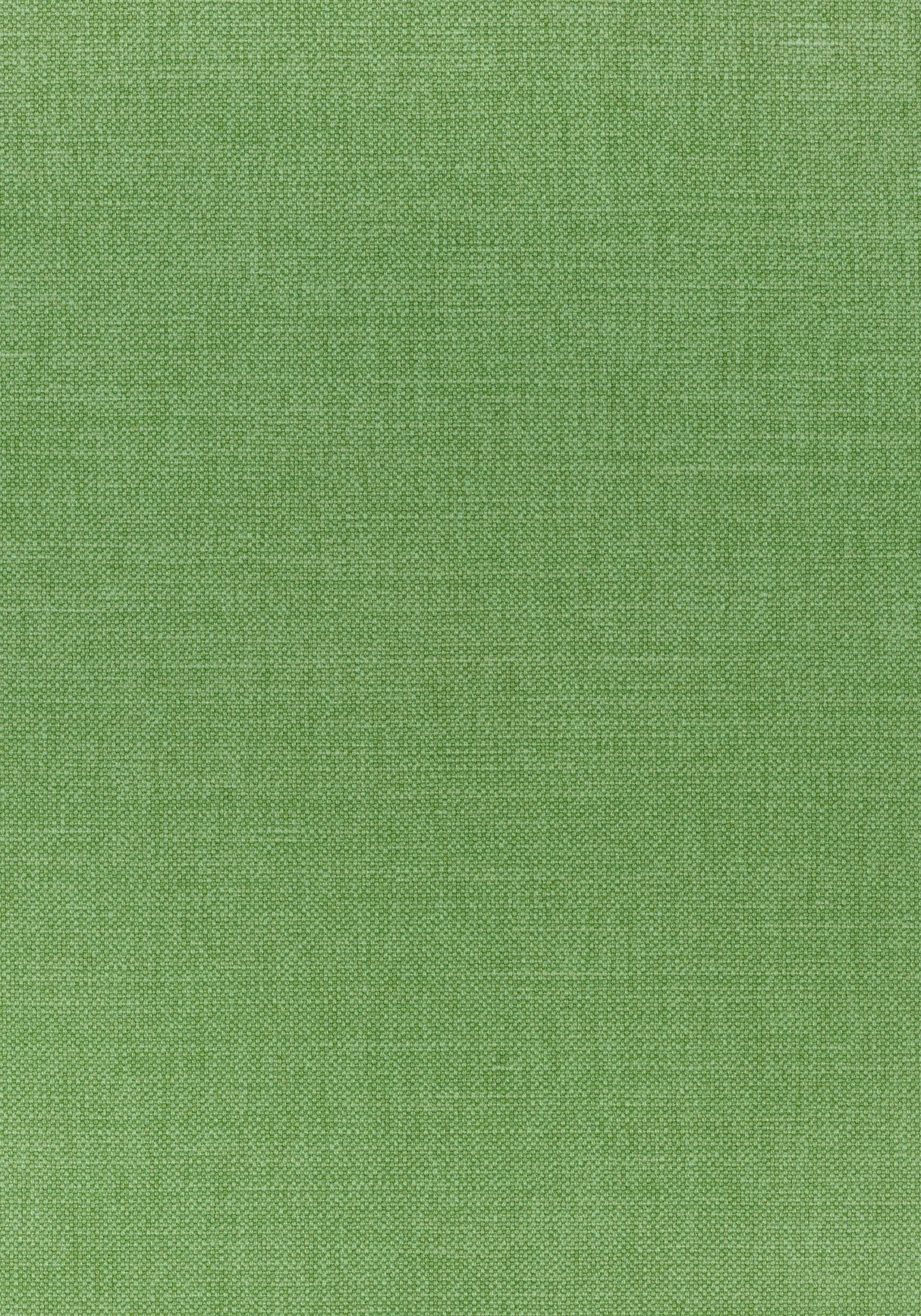 Thibaut PRISMA Grass Fabric