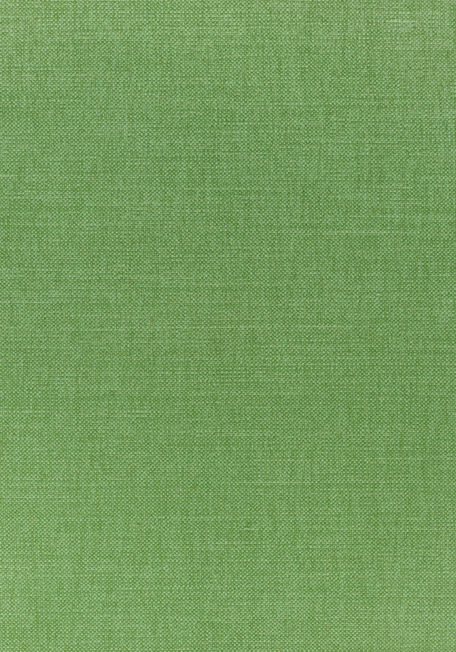 Thibaut PRISMA Grass Fabric