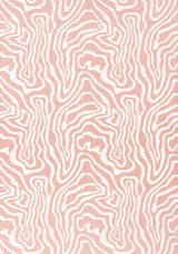 Thibaut ALESSANDRO Blush Fabric