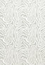 Thibaut ALESSANDRO Cloud Fabric