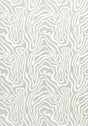 Thibaut ALESSANDRO Cloud Fabric
