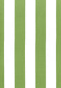 Thibaut BERGAMO STRIPE Emerald Fabric