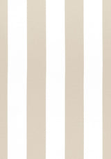 Thibaut BERGAMO STRIPE Taupe Fabric