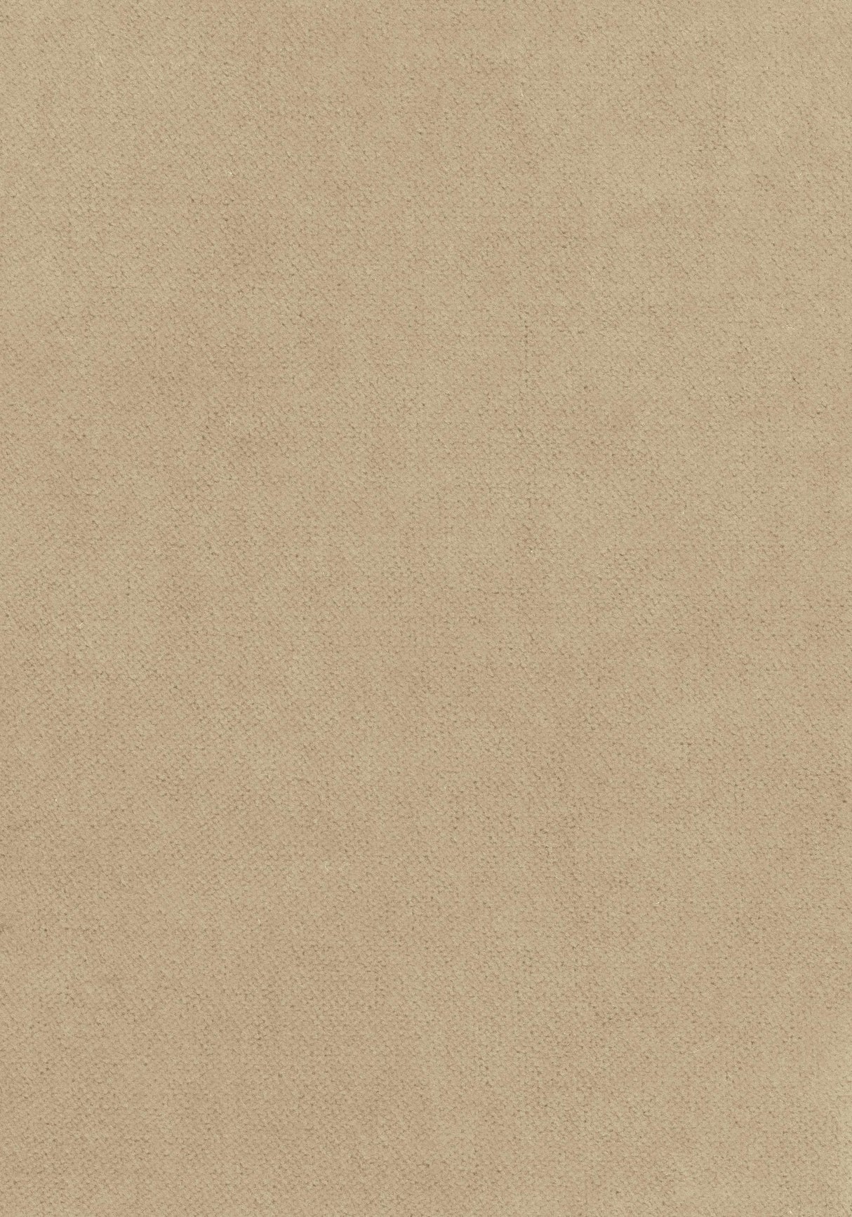 Thibaut CLUB VELVET Sand Fabric
