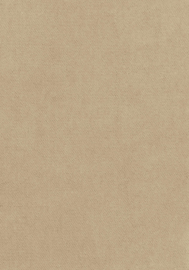 Thibaut CLUB VELVET Sand Fabric