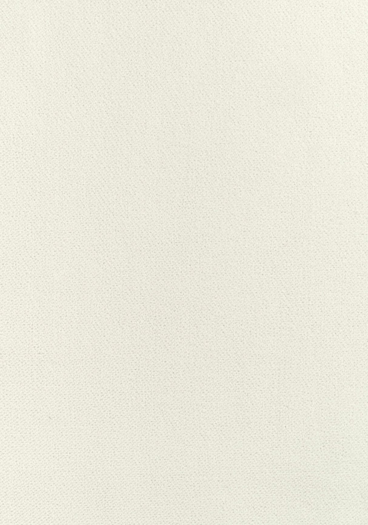 Thibaut CLUB VELVET Ivory Fabric