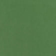 Thibaut Club Velvet Kelly Fabric