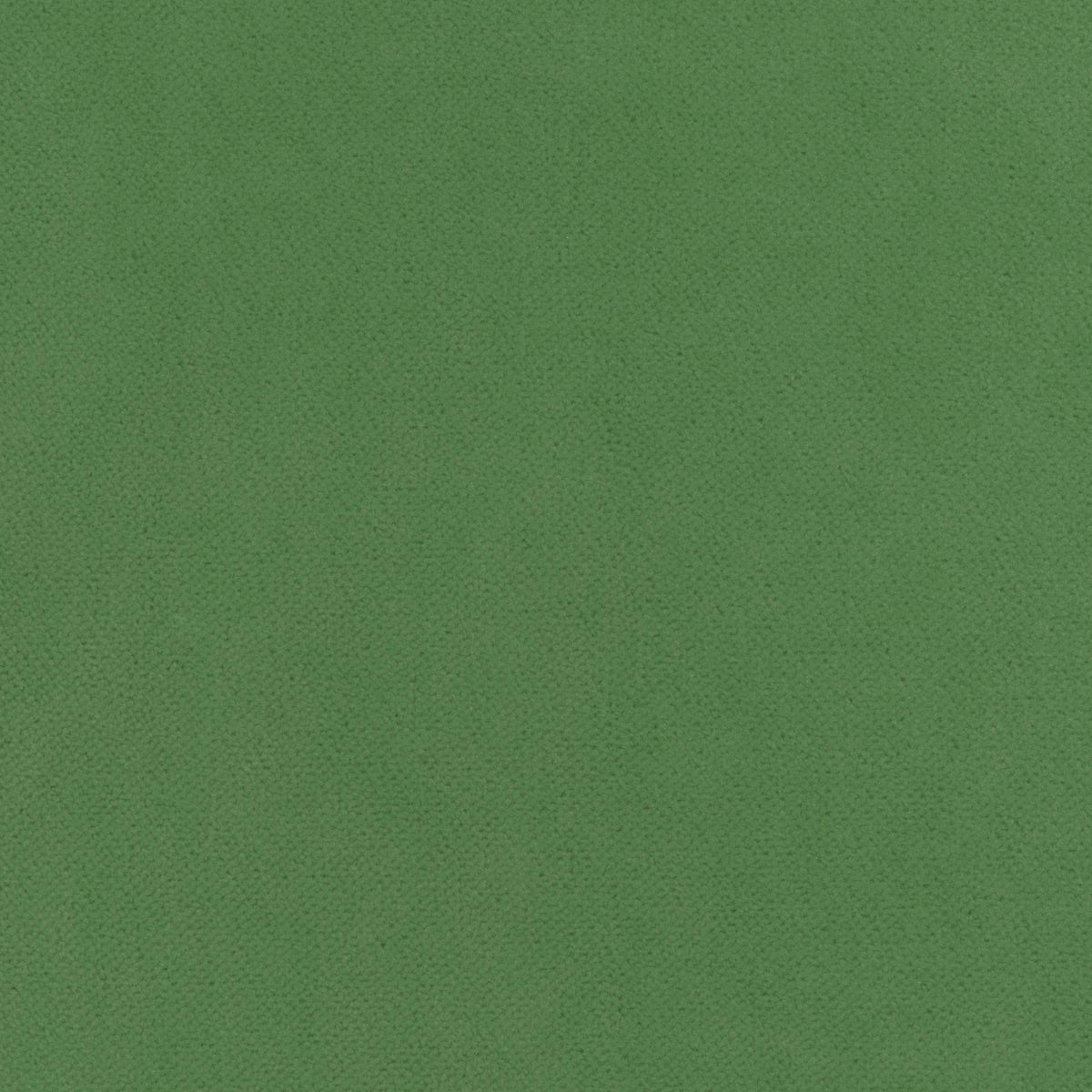 Thibaut Club Velvet Kelly Fabric