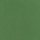 Thibaut Club Velvet Kelly Fabric