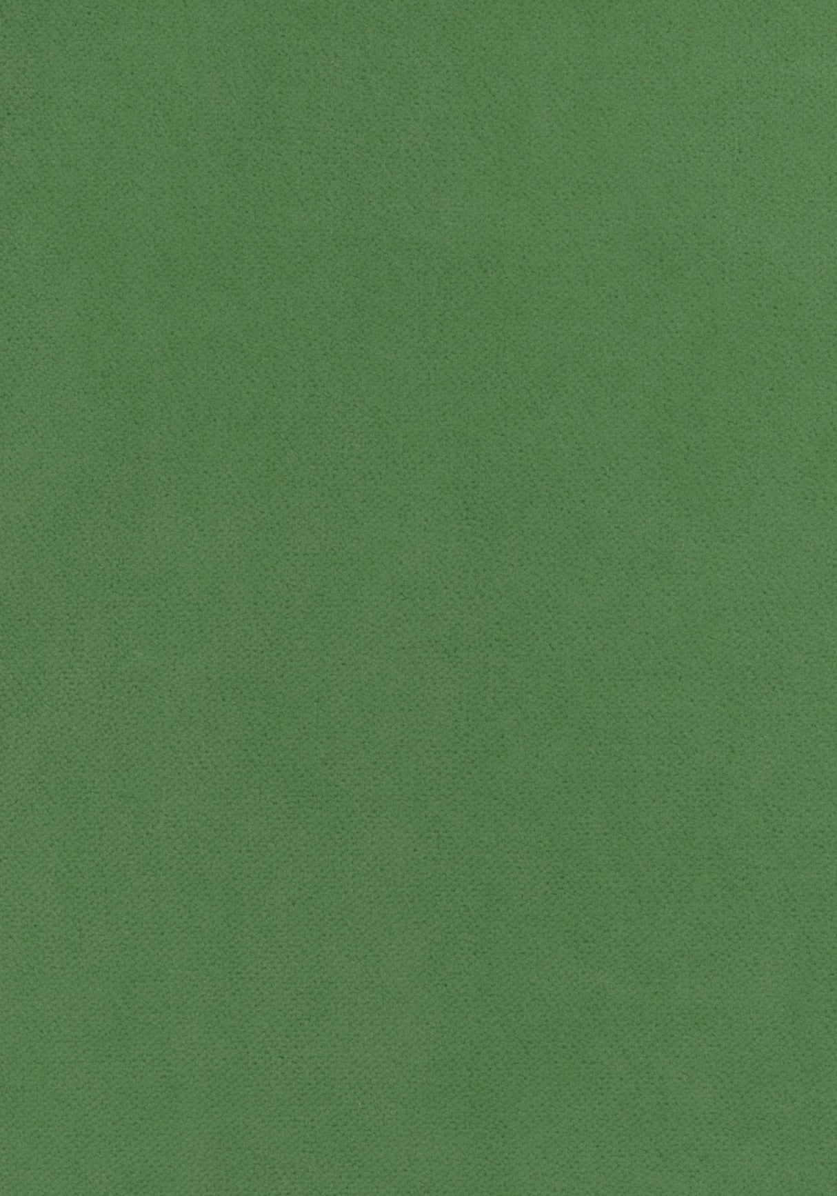 Thibaut CLUB VELVET Kelly Fabric