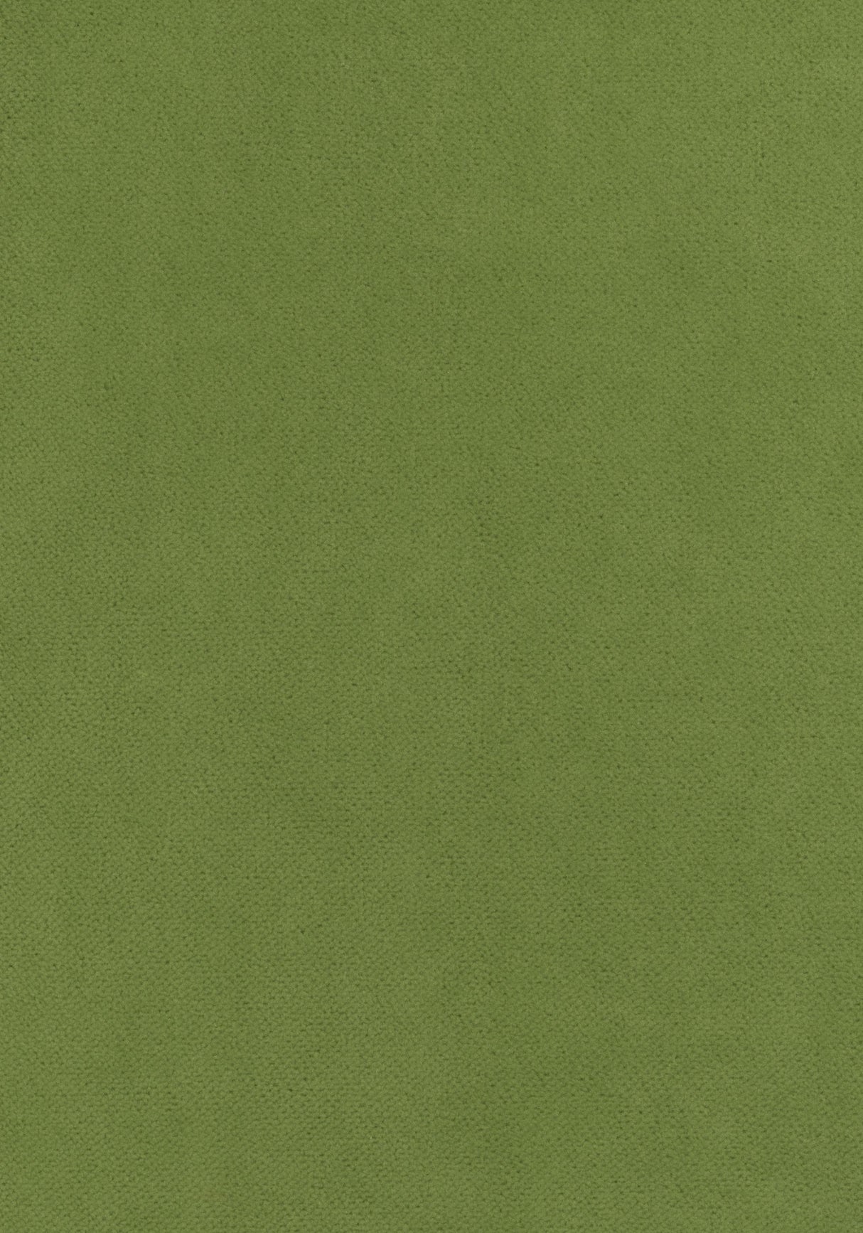 Thibaut CLUB VELVET Leaf Fabric