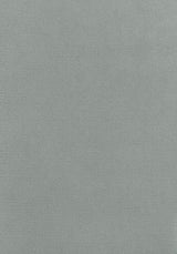 Thibaut CLUB VELVET Fog Fabric