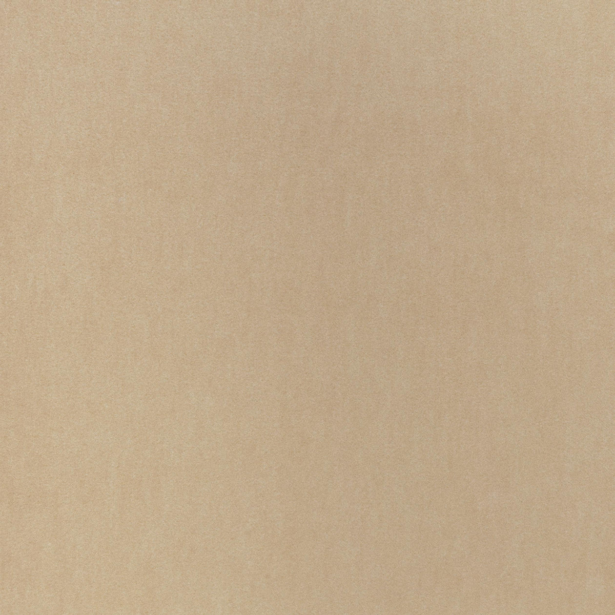 Thibaut Miles Mohair Velvet Camel Fabric