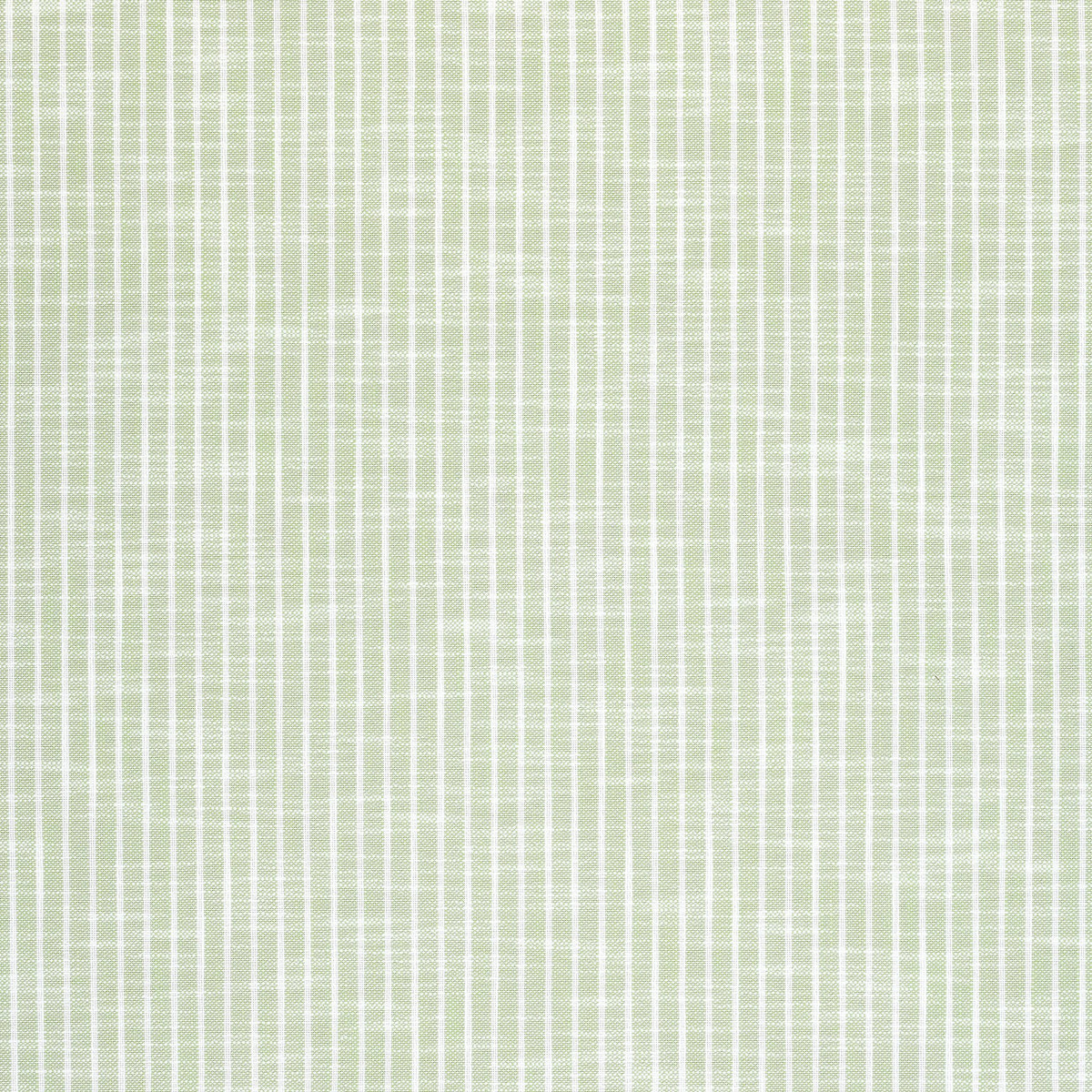 Thibaut Bayside Stripe Green Apple Fabric