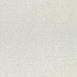 Thibaut Nala Flax Fabric