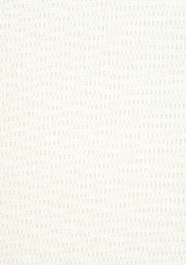 Thibaut BLOCK TEXTURE Snow White Fabric
