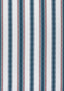 Thibaut SAMBA STRIPE Teal and Cranberry Fabric