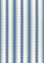 Thibaut SAMBA STRIPE Navy and Nickel Fabric