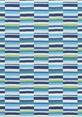 Thibaut CARNIVALE Blue and Green Fabric