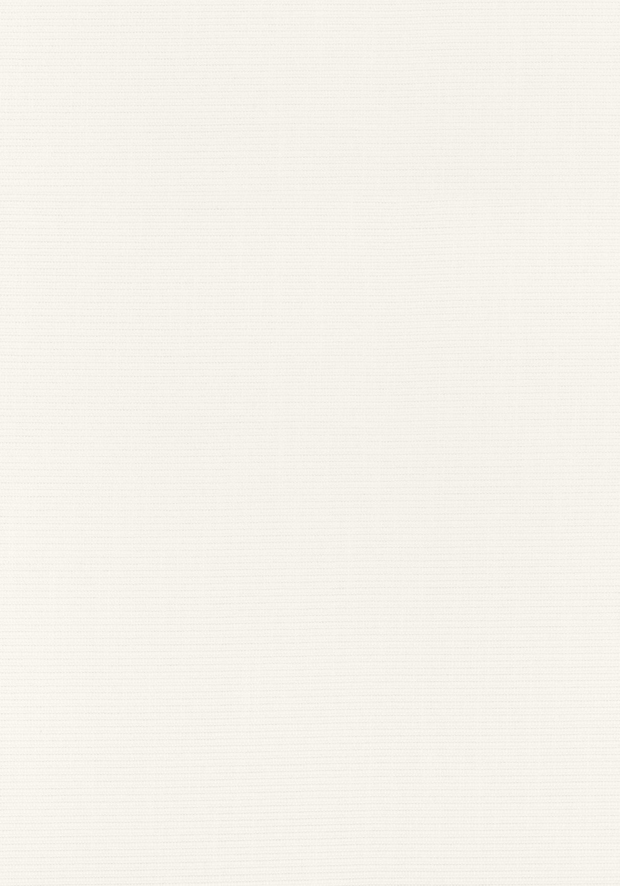 Thibaut DUNE Ivory Fabric