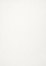 Thibaut STRATUS Ivory Fabric