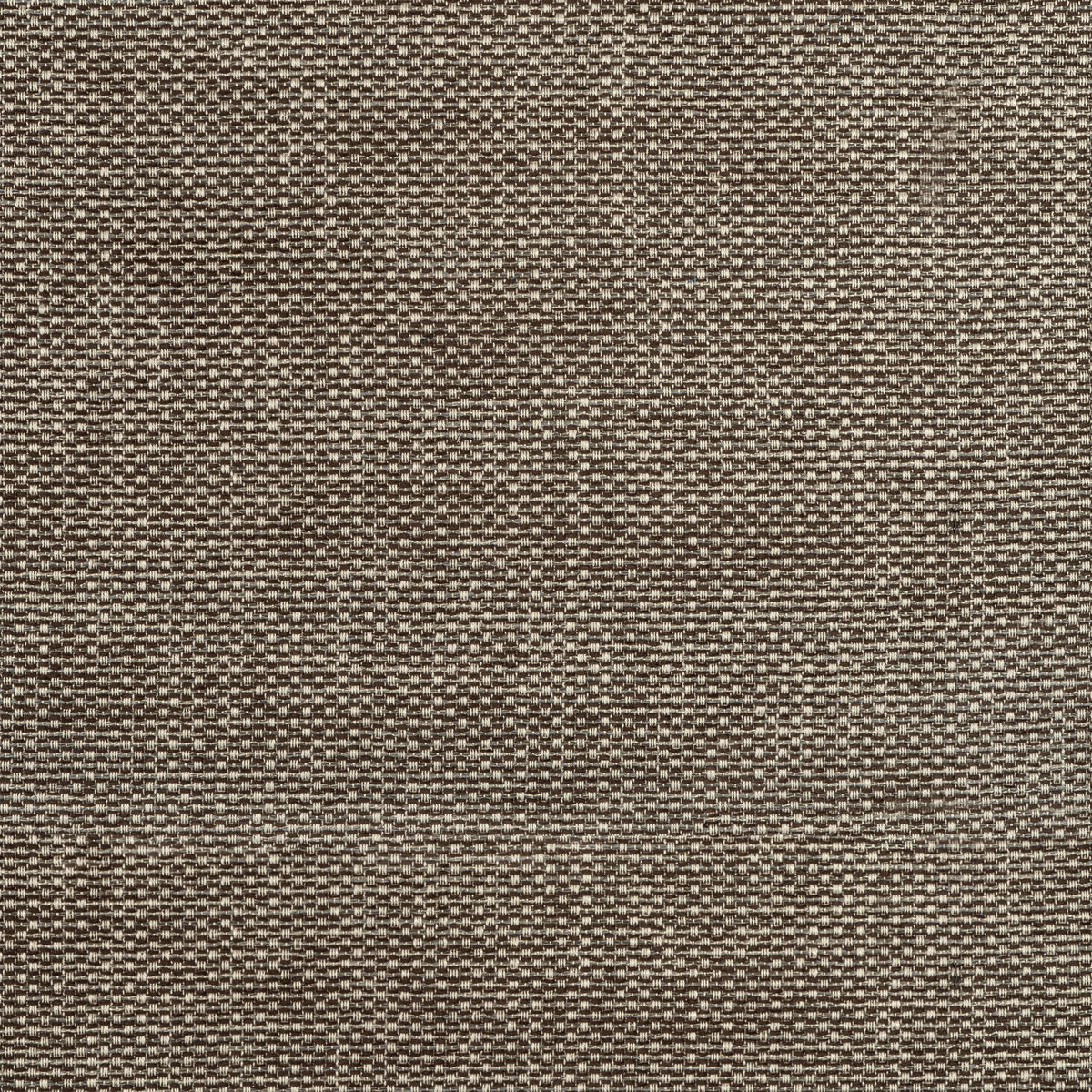 Thibaut Cascade Espresso Fabric