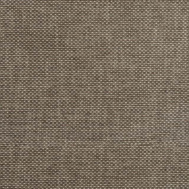 Thibaut Cascade Espresso Fabric