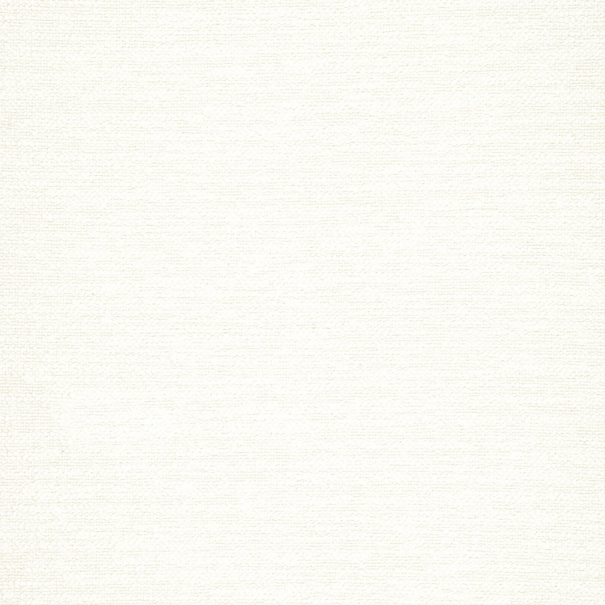 Thibaut Sasso Ivory Fabric