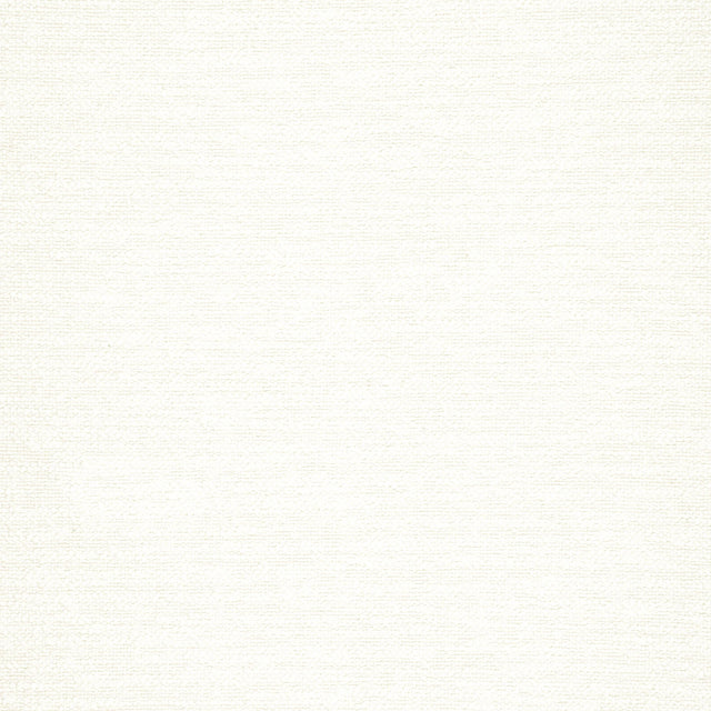 Thibaut Sasso Ivory Fabric