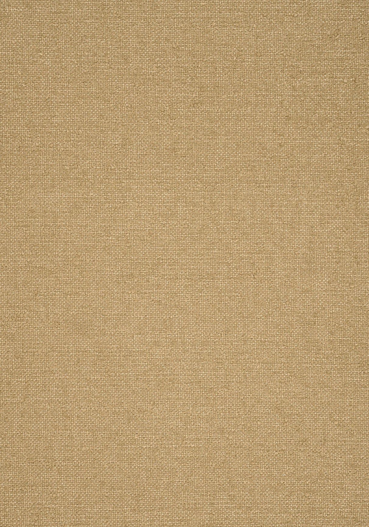 Thibaut SASSO Camel Fabric