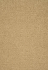 Thibaut SASSO Camel Fabric