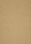 Thibaut SASSO Camel Fabric