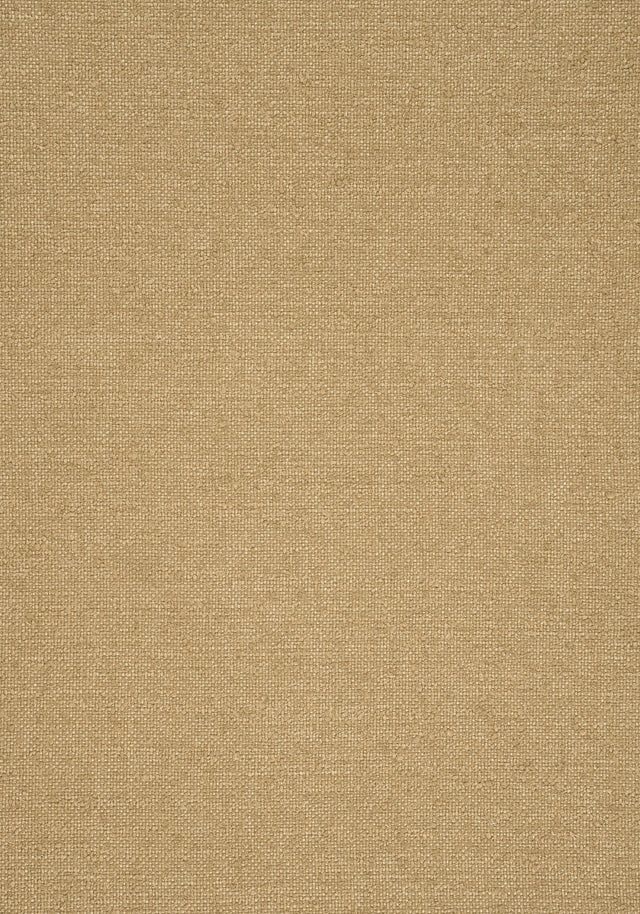Thibaut SASSO Camel Fabric