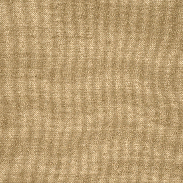 Thibaut Sasso Camel Fabric