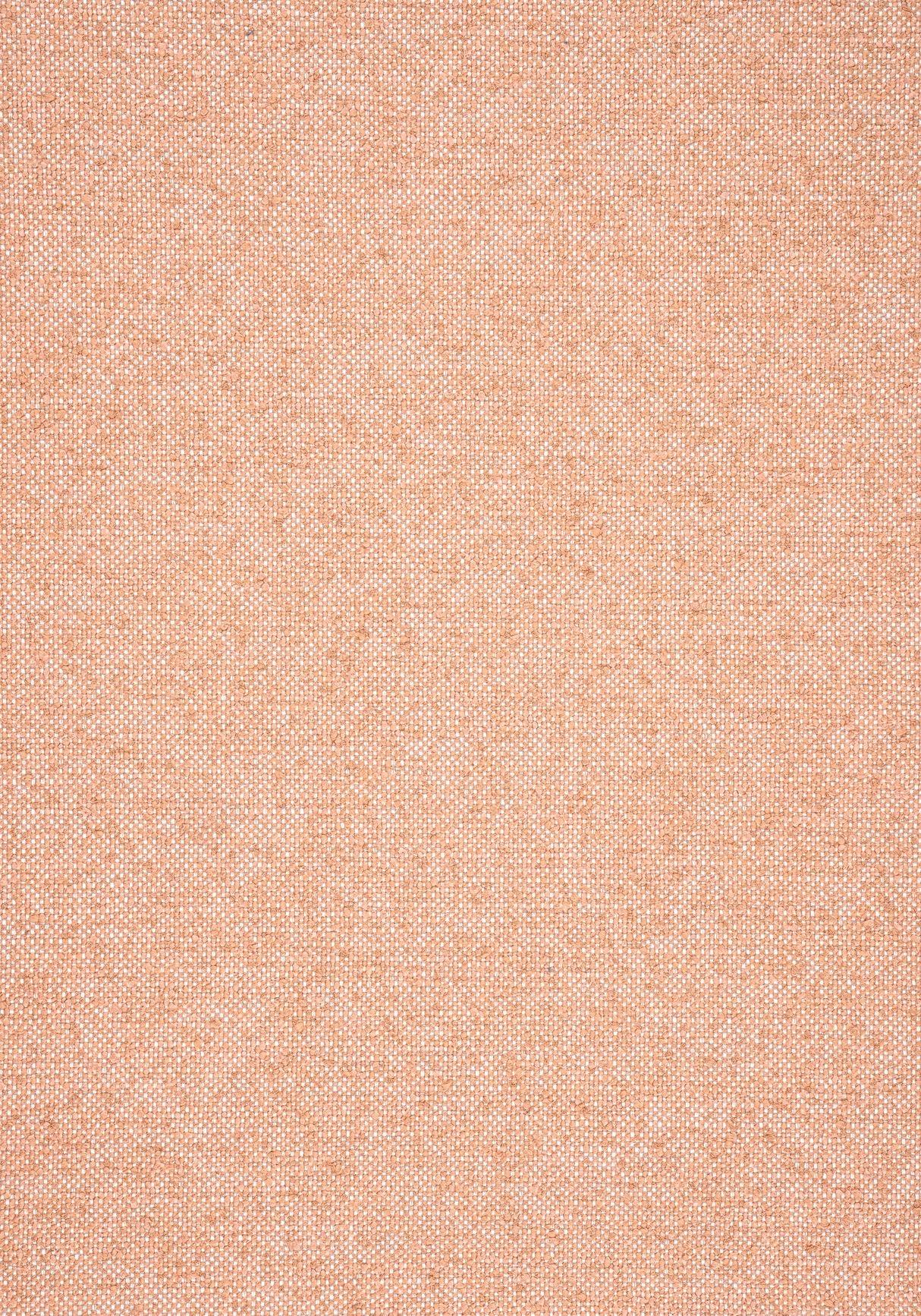 Thibaut SASSO Clay Fabric