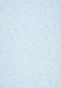 Thibaut SASSO Powder Fabric