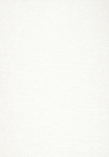 Thibaut MONVISO Ivory Fabric